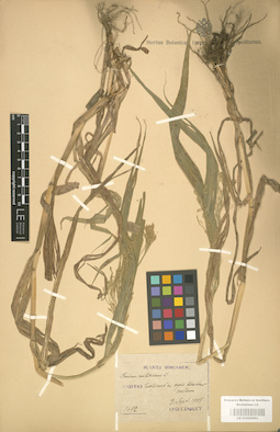 LE 01000884