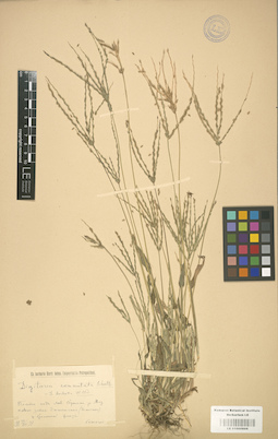 LE 01000886