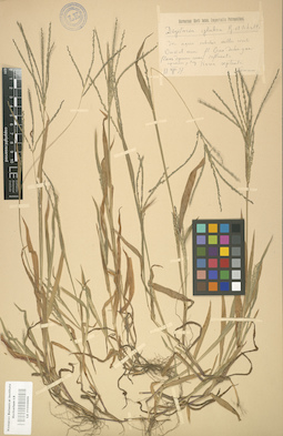 LE 01000889