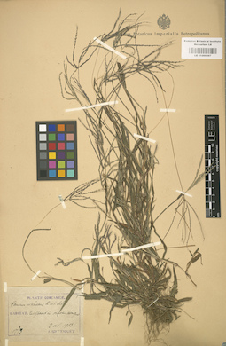 LE 01000897