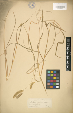 LE 01000902