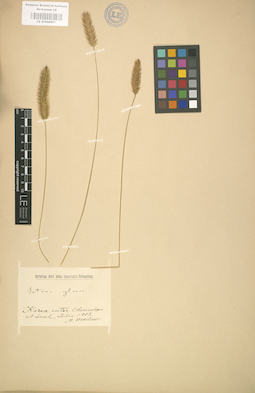 LE 01000907