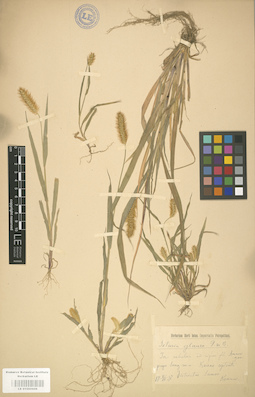 LE 01000908