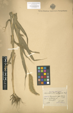 LE 01000922