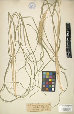 LE 01000954