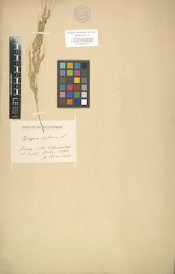 LE 01000970