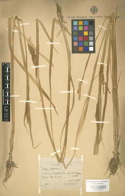 LE 01000973