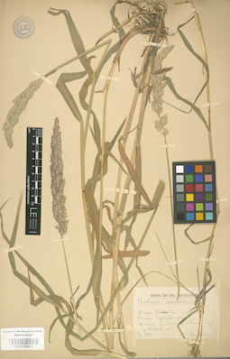 LE 01000983