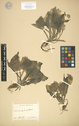 LE 01000992