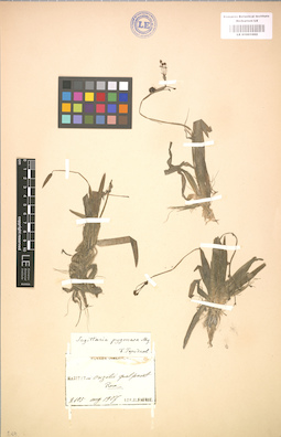 LE 01001002