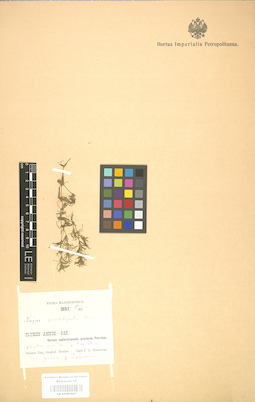LE 01001007