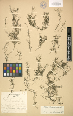 LE 01001008