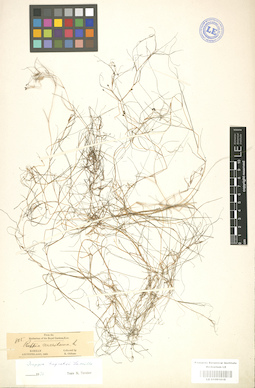 LE 01001010