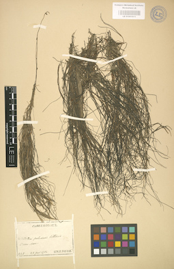 LE 01001011