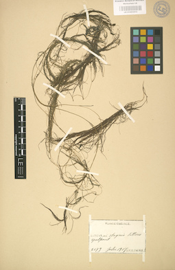 LE 01001012