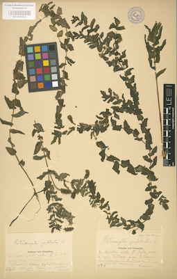 LE 01001015