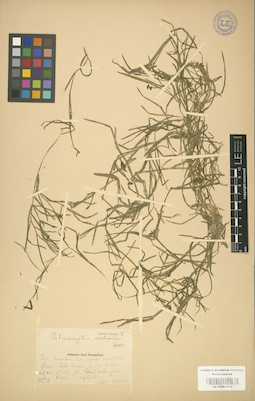 LE 01001016