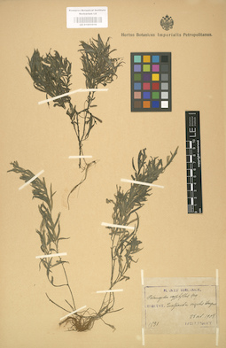LE 01001019