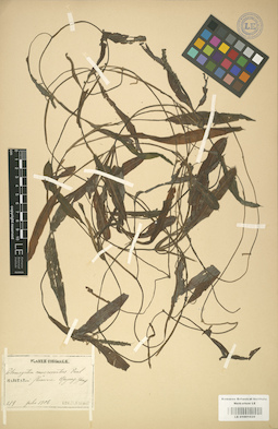 LE 01001020