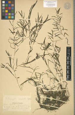 LE 01001021