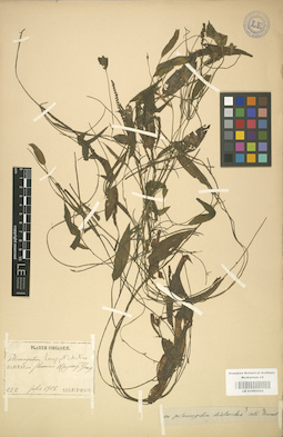 LE 01001022
