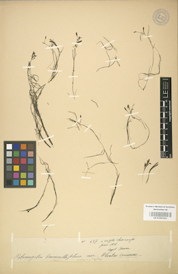 LE 01001023
