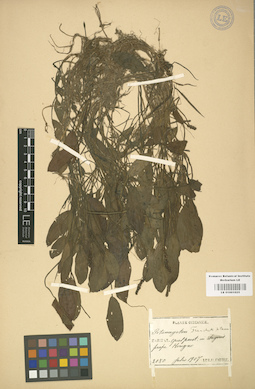LE 01001025