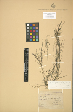 LE 01001026