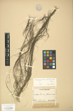 LE 01001027
