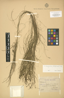 LE 01001028