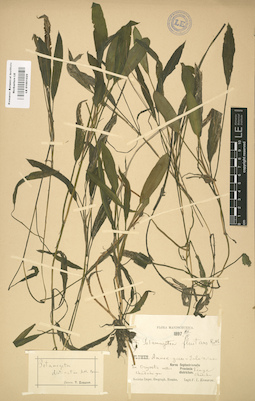 LE 01001029