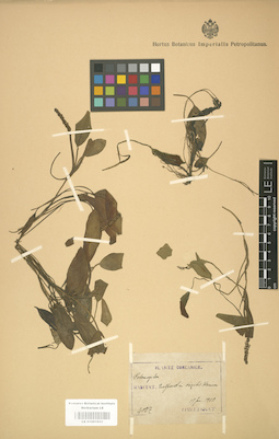 LE 01001031
