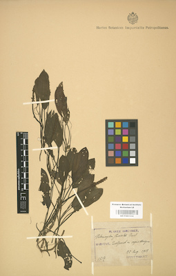 LE 01001032