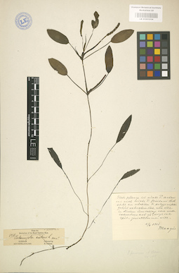 LE 01001034
