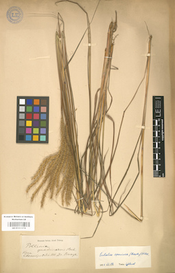 LE 01001074