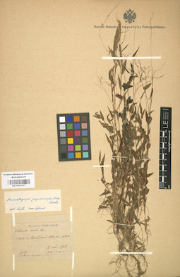 LE 01001077