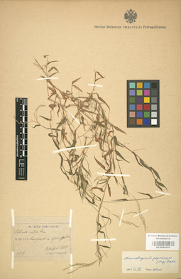 LE 01001078