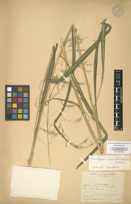 LE 01001092