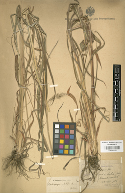 LE 01001093