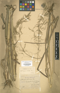 LE 01001094