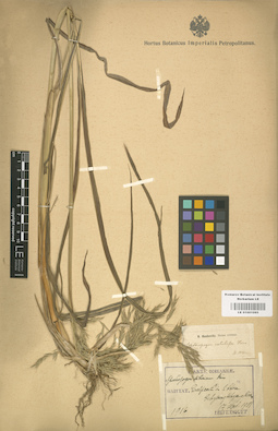 LE 01001095
