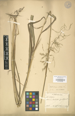 LE 01001096
