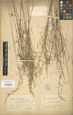LE 01001097