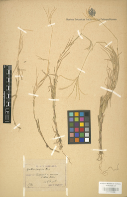 LE 01001098
