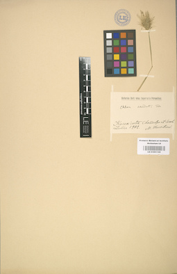 LE 01001100