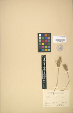LE 01001101
