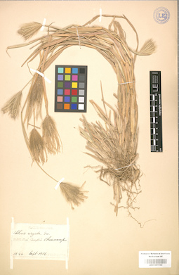 LE 01001102
