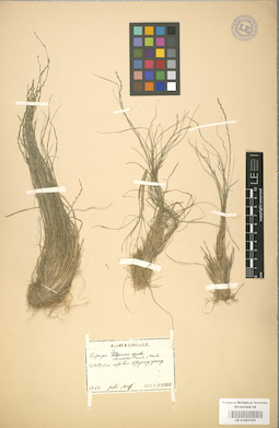 LE 01001103