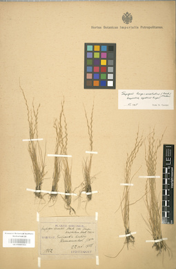 LE 01001104