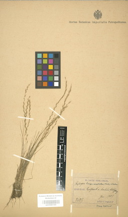 LE 01001105